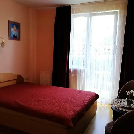 Viktoras Διαμέρισμα Παλάγκα