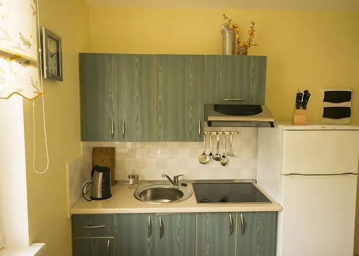 Апартаменты Viktoras *