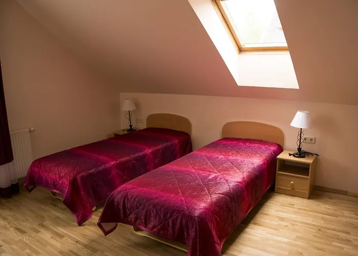 Апартаменты Viktoras *